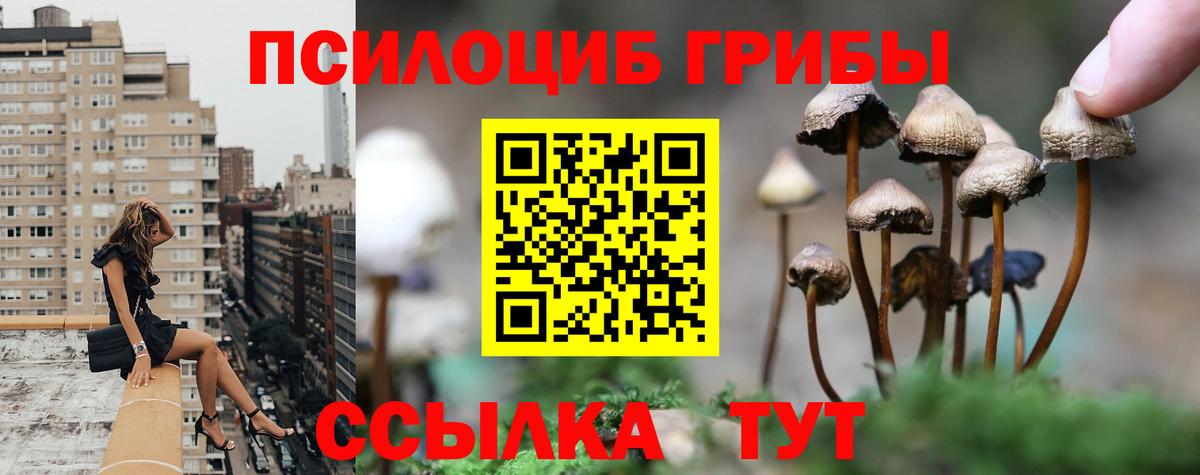 Псилоцибиновые грибы Psilocybine cubensis  Вход с VPN  Псков 