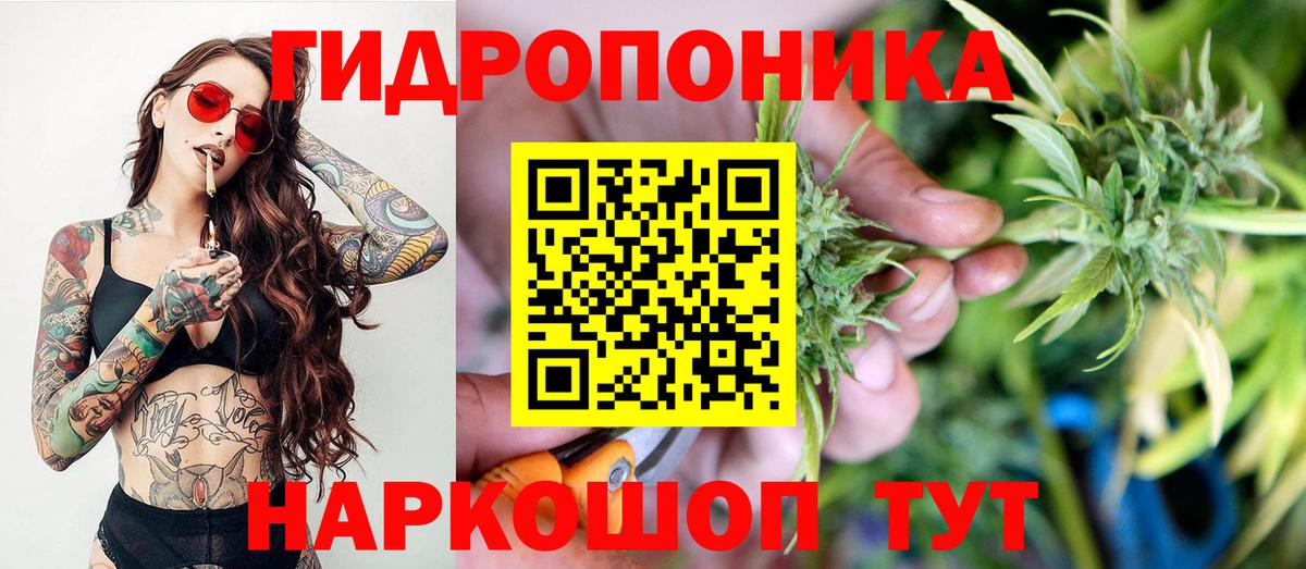 Псков  Шишки марихуана MAZAR  Конопля план  Вход с VPN 